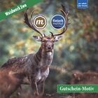 Zerlegeseminar und BBQ mit Teamkapitän Dirk Freyberger im Fleischinstitut