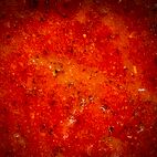 metzgerfleisch.de Pikantos AF, Paprika & Chili, Marinadenbasis, 250g-Beutel